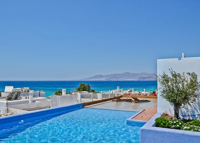 Naxos Island מלון