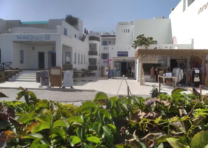 Naxos Island 5*