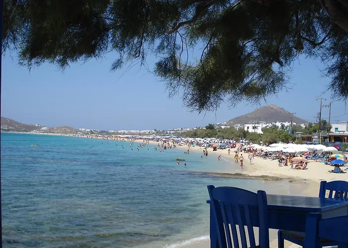 Naxos Island Hotel